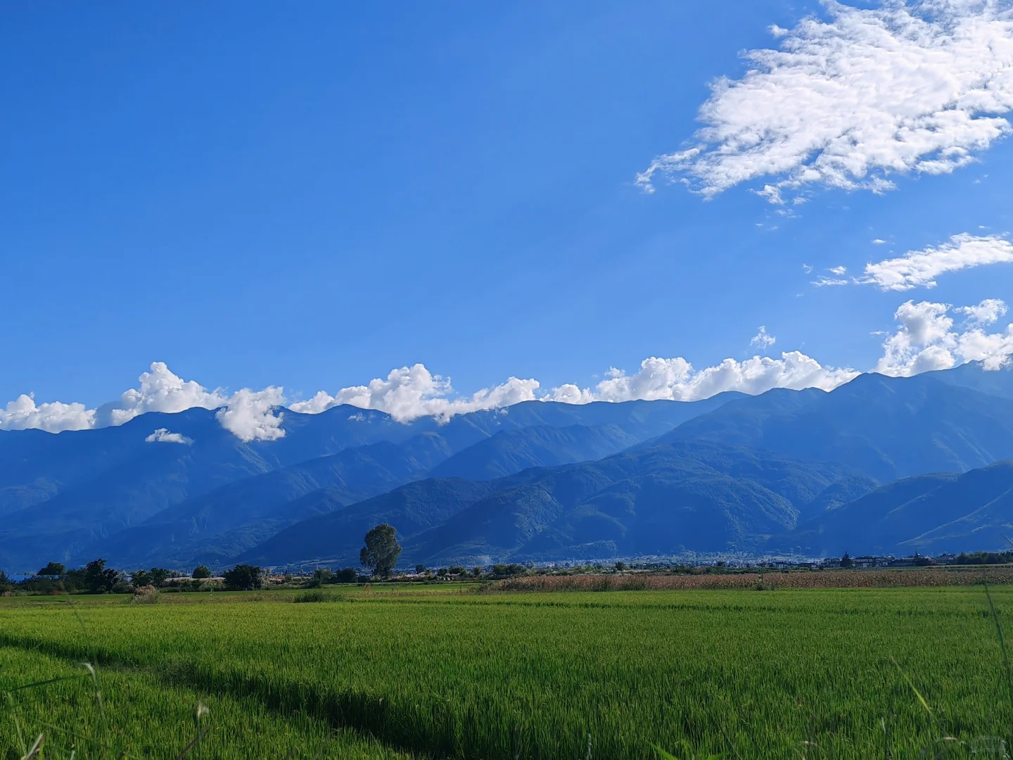Cangshan countryside near Dali